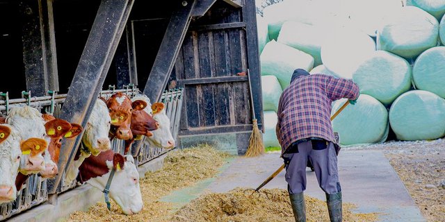 Auch nach der Rente kann man seinen Betrieb noch weiterführen.  (Bild BauZ)