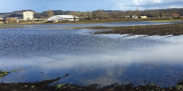 Seichte, überflutete Flächen sind wichtig für vorbeiziehende Watvögel. (Bild zVg)