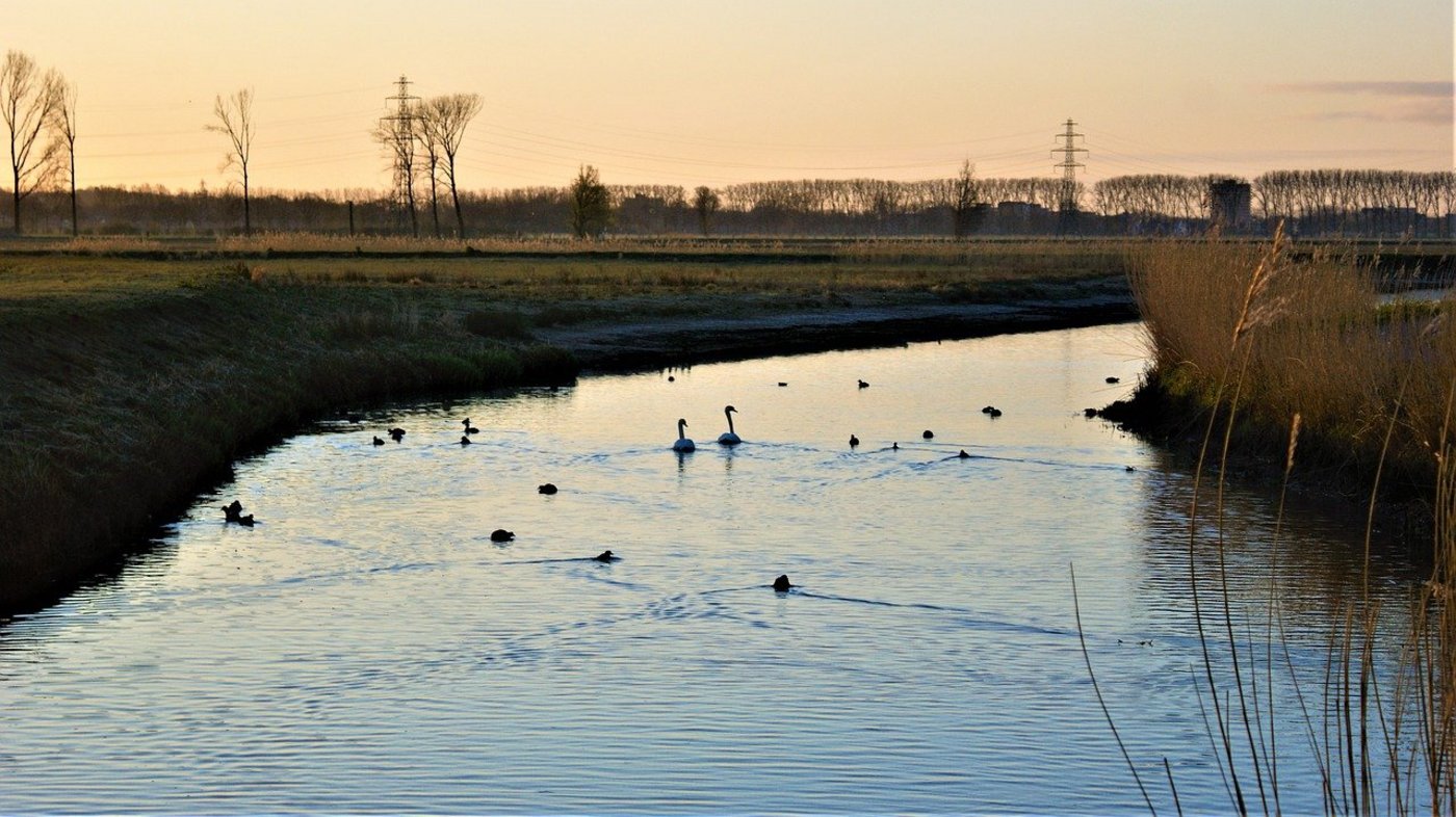 Wie die Entscheidung am 13. Juni ausfällt, lässt sich noch kaum abschätzen. Es zeigen sich aber bereits deutliche Lager. (Bild FotoRieth / Pixabay) 