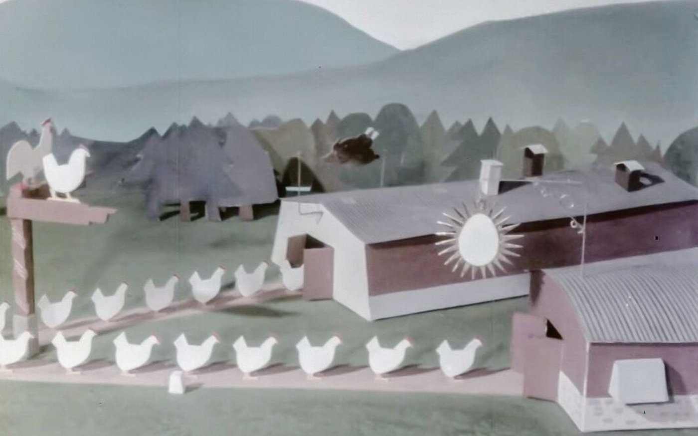 Aus dem Zweinutzungshuhn werden spezialisierte Tiere für Eier- und Pouletproduktion.