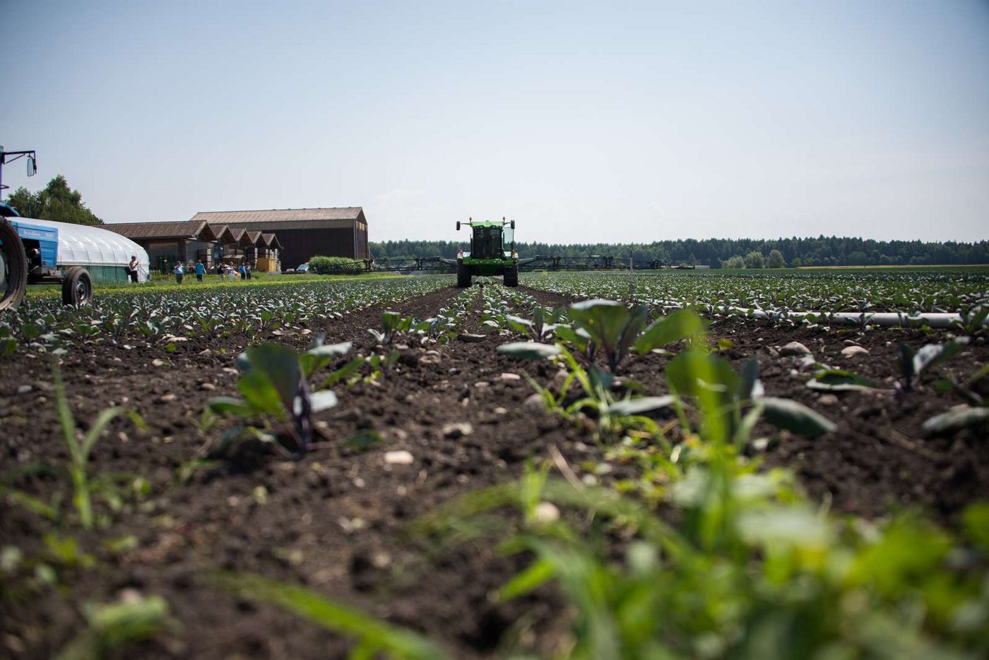 Die Effizienz der Feldroboter ist ein umstrittenes Thema. (Bild BauernZeitung/Archiv)