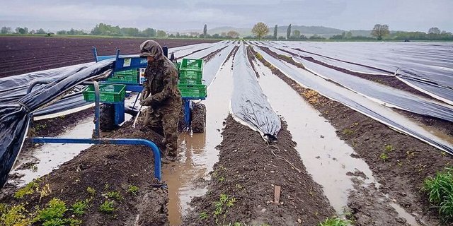 Kein Interesse an den Programmen der SRG: Saisonale Erntehelfer konsumieren während ihres Aufenthalts in der Schweiz lieber Medien aus ihren Heimatländern. 