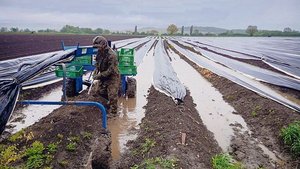 Kein Interesse an den Programmen der SRG: Saisonale Erntehelfer konsumieren während ihres Aufenthalts in der Schweiz lieber Medien aus ihren Heimatländern. 