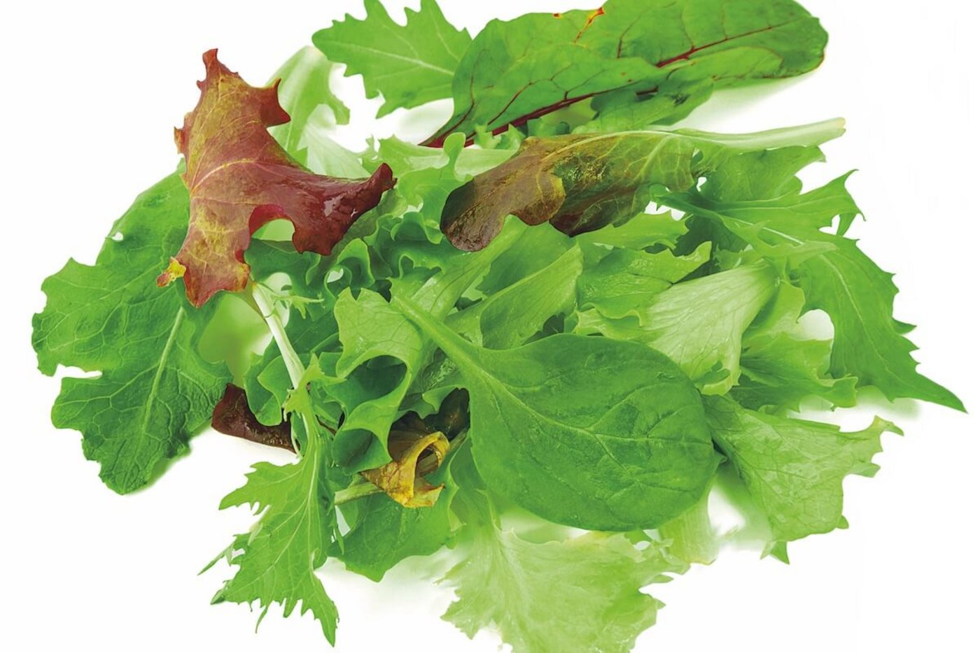 Es gibt für jede Jahreszeit den passenden Salat. (Foto: Eveline Dudda)