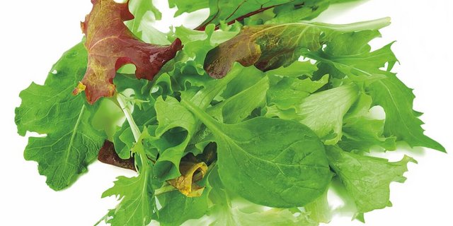 Es gibt für jede Jahreszeit den passenden Salat. (Foto: Eveline Dudda)