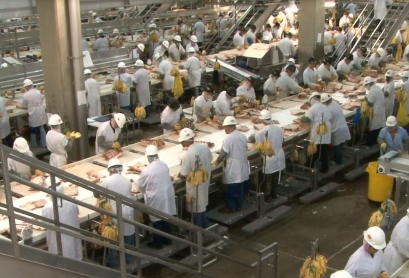 Enge Verhältnisse: Blick in eine Verarbeitungshalle eines Tyson-Schlachtbetriebs. (Bild pd)