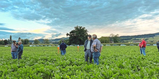 An der Flurbegehung des Feldversuches in Münsingen wurde rege diskutiert. 