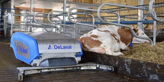 Der Entmistungsroboter sorgt im Stall für mehr Sauberkeit. (DeLaval)
