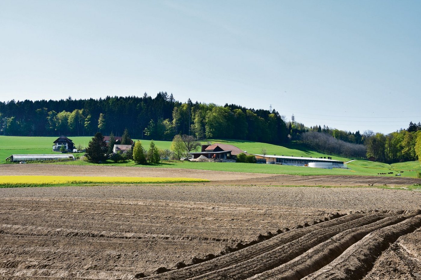 Vor der Weiterbewirtschaftung von Zupachtland sollte beim ­­Verpächter eine schriftliche Erklärung eingereicht werden. (Symbolbild BauZ)