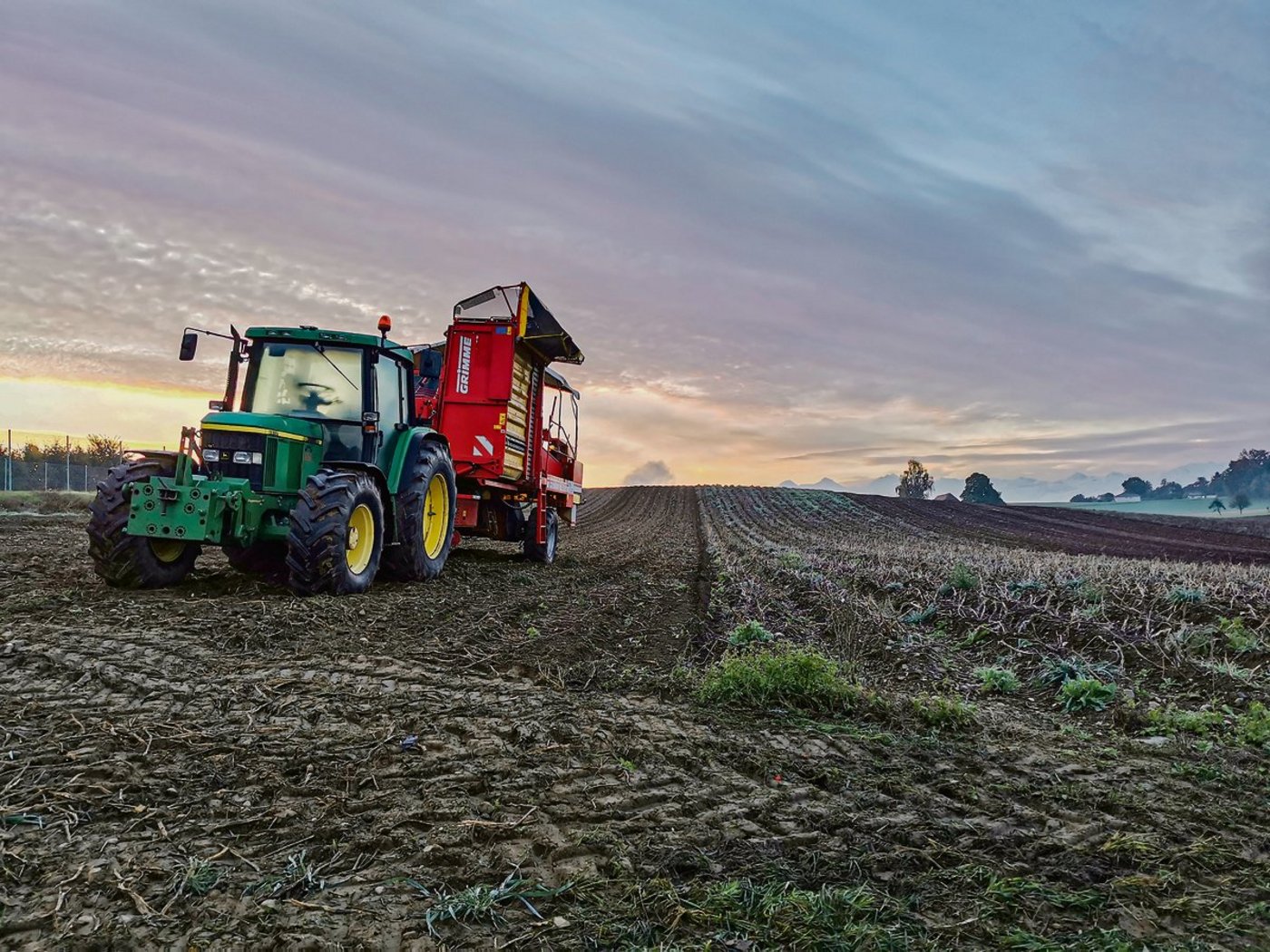 Wegen drohender Überschüsse am Frites-Kartoffelmarkt erwägt die Branche eine Kürzung der Anbauflächen. (Bild sb)