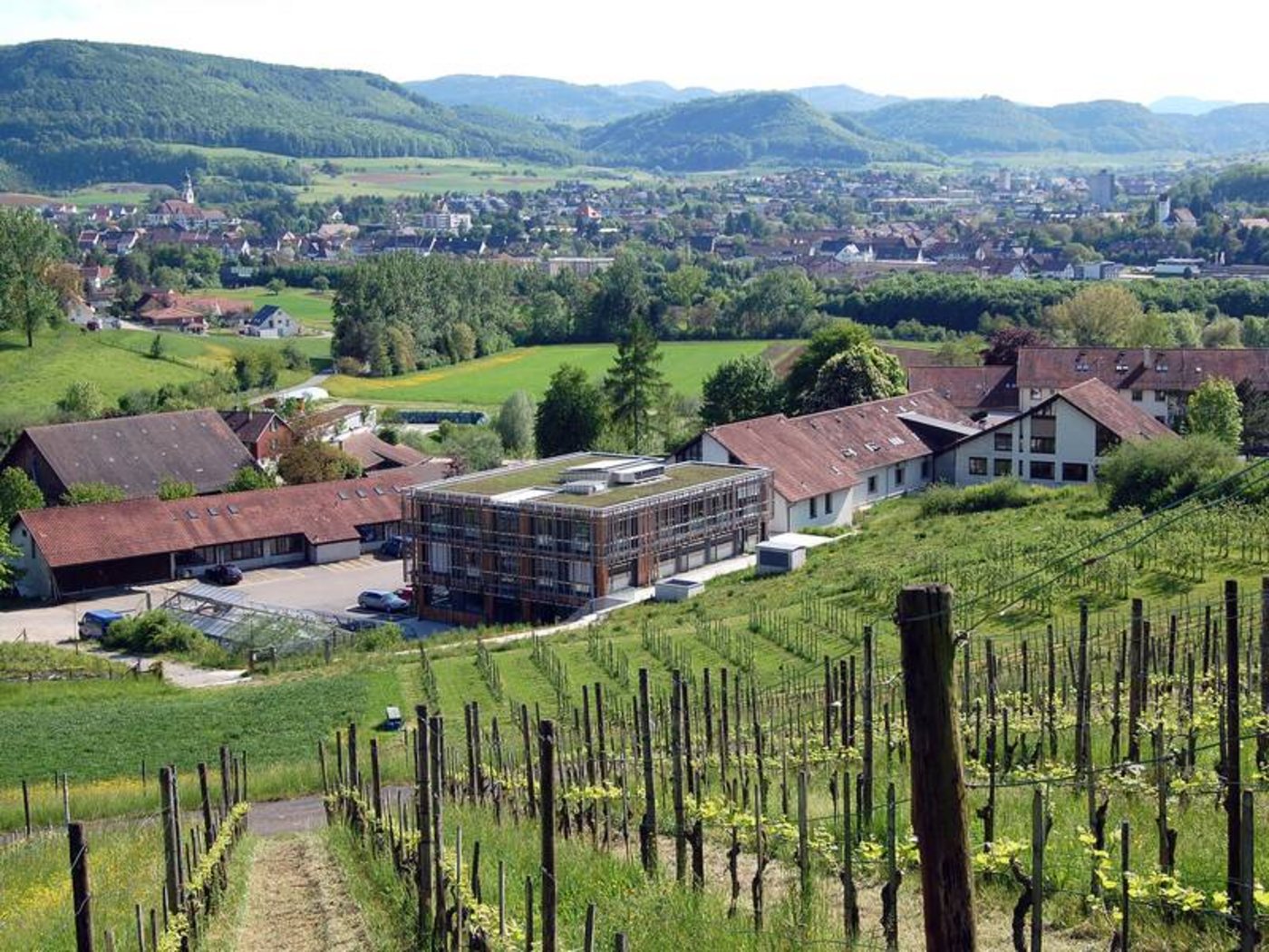 Das FiBL wird ausgebaut: Vorgesehen sind neue Büros und Labors, ein Gewächshaus, eine moderne Konferenzinfrastruktur sowie der Bau eines Multifunktions-Experimental-Stalls. (Bild Thomas Alföldi, FiBL)