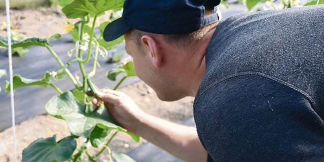 Wenn Lernende in den grünen Berufen abbrechen oder den Lehrbetrieb wechseln, liegt das oft an der fehlenden Chemie mit dem Lehrmeister.