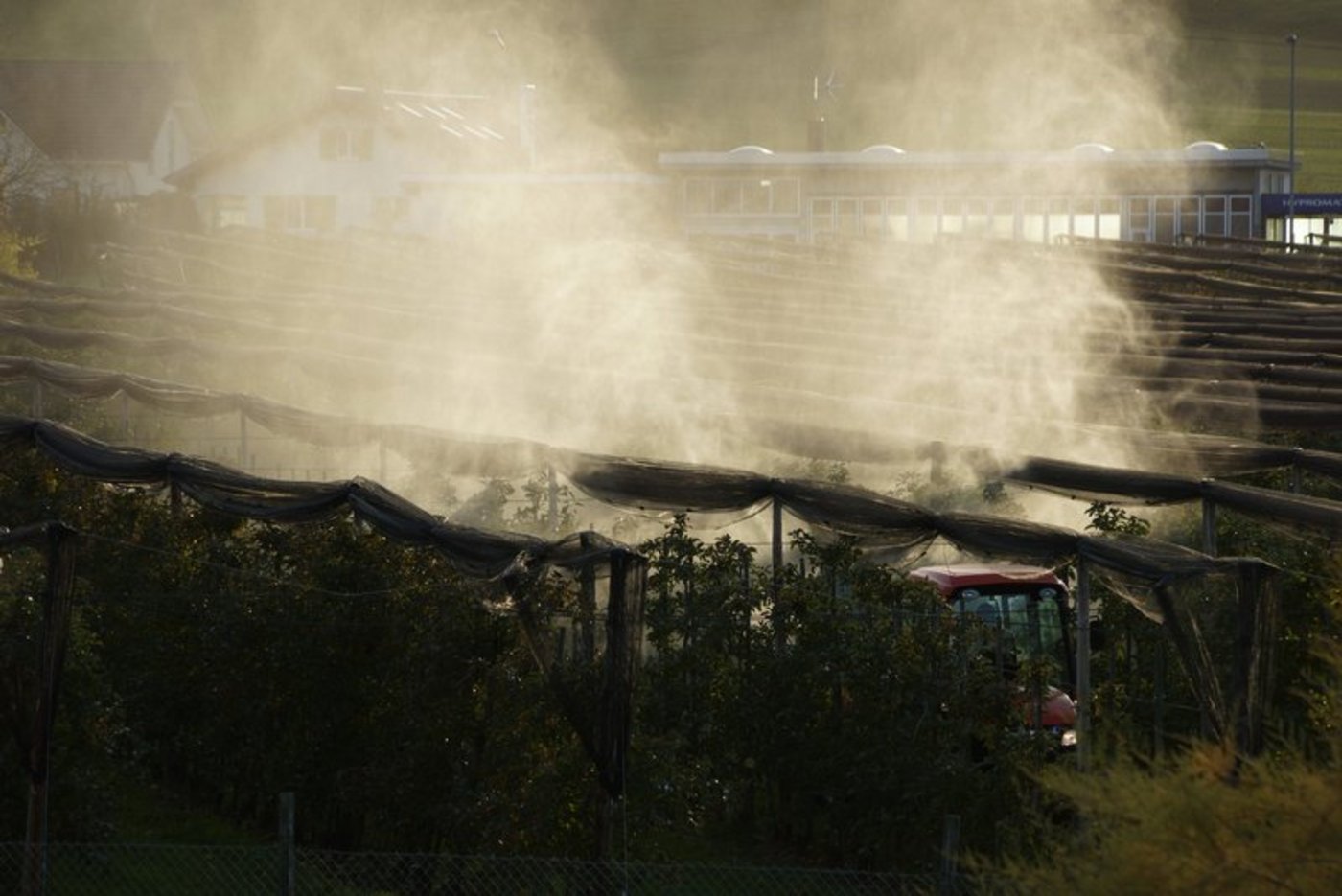 Nachhaltigere Produktionsweisen kosten mehr – daher braucht es auch für die Produzenten einen Mehrwert am Markt. (Bild BauZ)