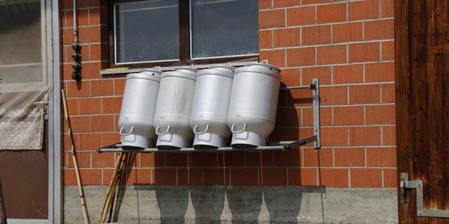 Mit einem Preis von 57,84 Rappen über alle Segmente erhielten die Produzenten für Molkereimilch jedoch 1,86 Rappen weniger als im 10-Jahresschnitt. (Bild lid/ji)