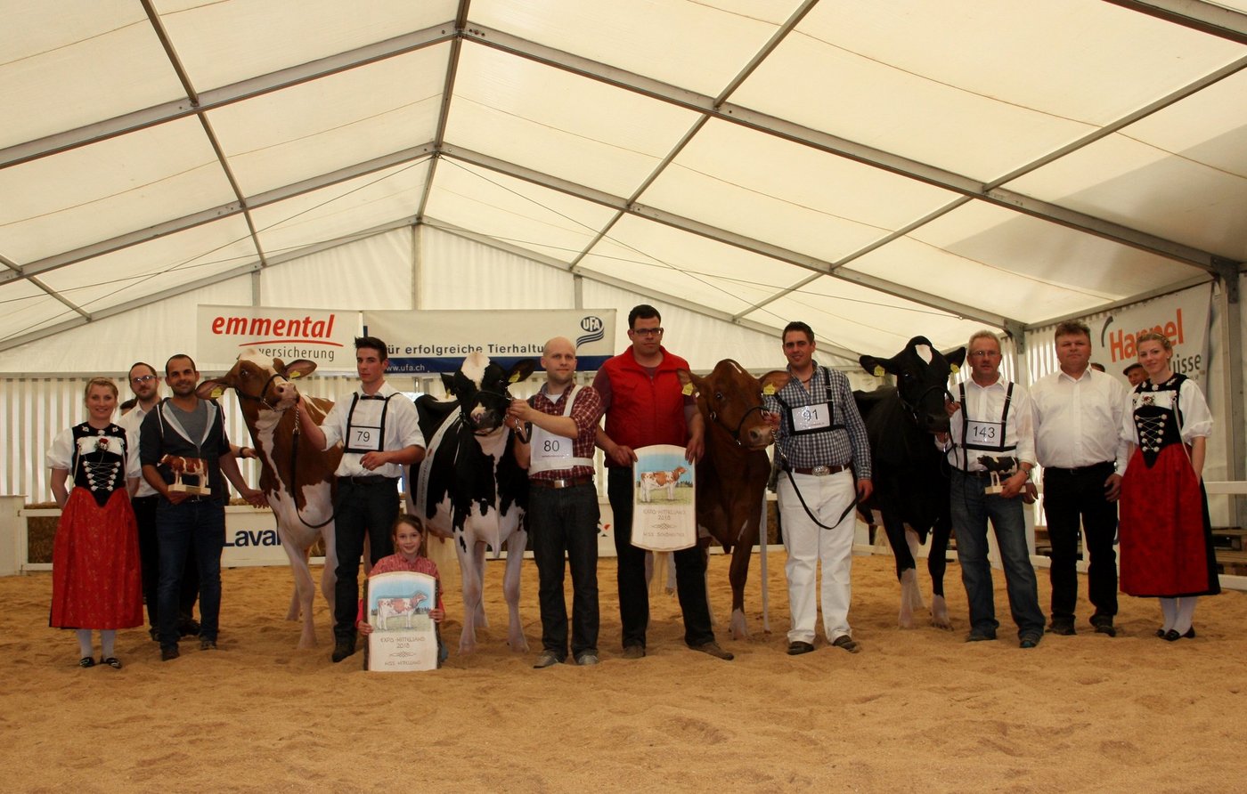 V. l. n. r.: Vize-Miss Mittelland, Luka Absolute Okarina Red; Miss Mittelland, Desgranges Unix Beyonce VRF; Miss Schöneuter, Adjosch Amor Beldona und Vize-Miss Schöneuter, Les Vacjeries Attitude Sunshine. (Bild Andrea Wyss)