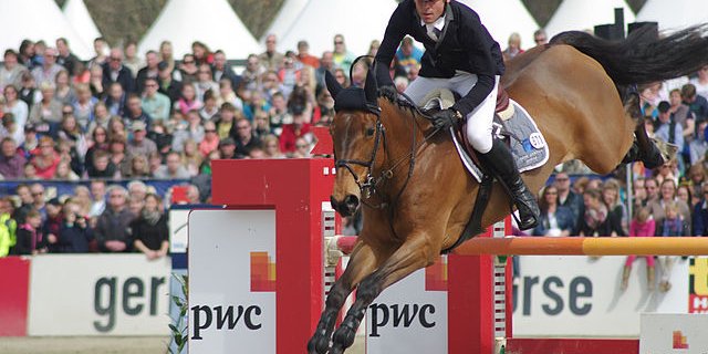 Paul Estermann auf Chesterfield Eclipse an einem Turnier 2013.  Der Springreiter sagte aus, er habe Eclipse immer ohne Peitsche und Spore geritten. (Bild Olaf Kosinsky/ Wikipedia)