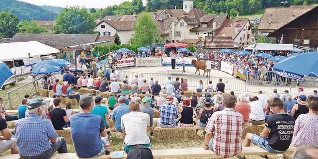 Nicht nur das schöne Ambiente ist in Langenbruck bekannt, auch die hohe Qualität der Tiere ist garantiert.(Bild zVg)