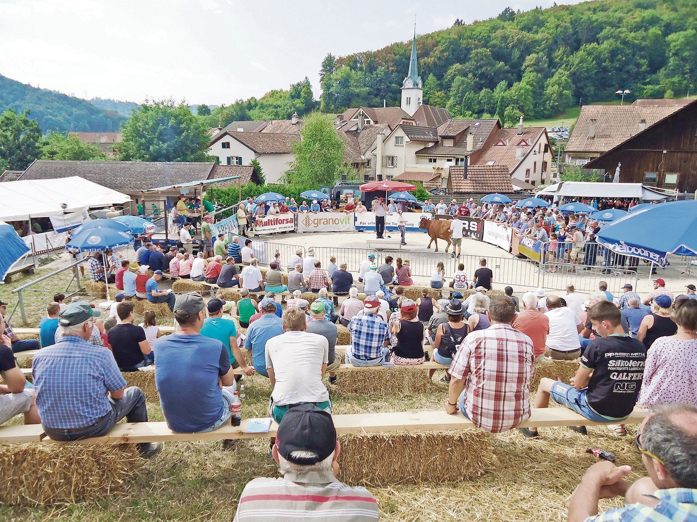 Nicht nur das schöne Ambiente ist in Langenbruck bekannt, auch die hohe Qualität der Tiere ist garantiert.(Bild zVg)