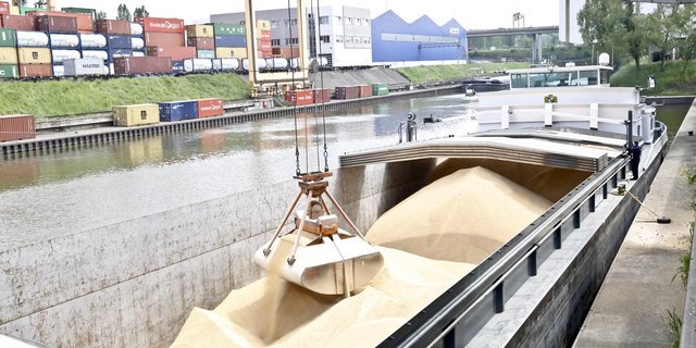 99 Prozent des in die Schweiz importierten Soja erfüllt die Kriterien des Soja-Netzwerks. (Bild mw)