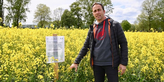 Reto Minder, Präsident Swiss No-Till, zeigt eine Rapskultur, die mit Begleitpflanzen gesät wurden. Die Begleitpflanzen sorgen dafür, dass der Boden immer bedeckt bleibt. (Bild Jasmine Baumann)