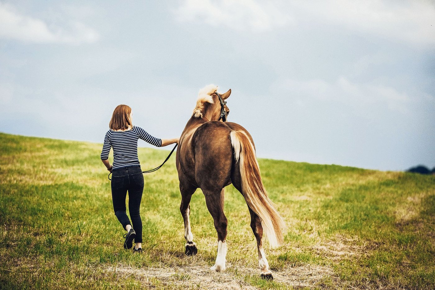 Der emotionale Wert, den ein(e) Halter(in) einem Tier aus rein emotionalen und nicht aus wirtschaftlichen Motiven beimisst, wird Affektionswert genannt. (Bild Helene Marti)