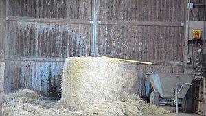 Die Digitalisierung Die Digitalisierung kann helfen, effizienter zu werden. Dafür muss man Daten aber nicht nur erheben, sondern vor allem auch nutzen können.