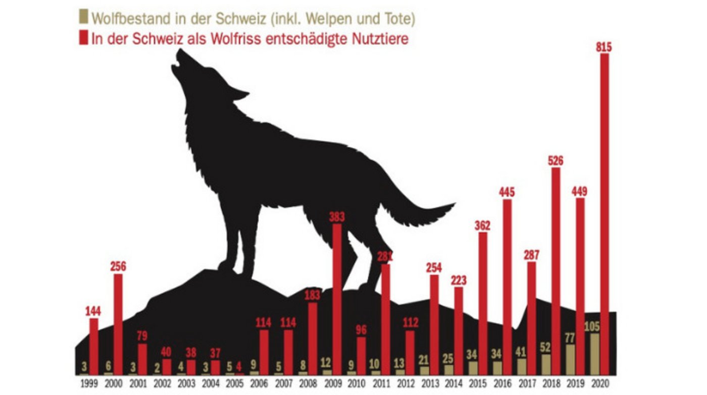 Bislang am meisten Wolfsrisse wurden letztes Jahr registriert. Die Daten werden von der Stiftung Kora erfasst.  (Grafik ng/Daten Kora)