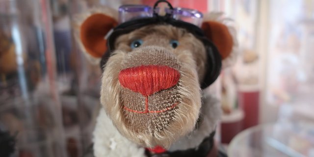 An einer Ausstellung über Bären dürfen Teddybären nicht fehlen. (Bilder Esther Thalmann)