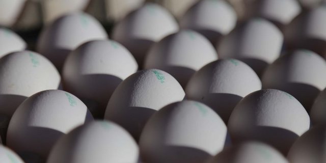 Die Lagerbestände konnten wieder gefüllt werden. (Bild lid/ji)