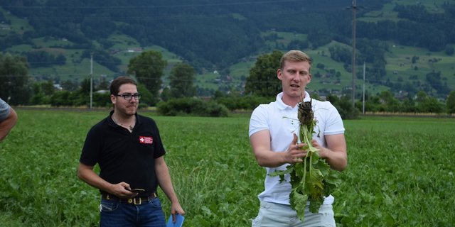 Ein Nachteil des Setzens ist, dass die Rübe keine Pfahlwurzel bildet, was den Ertrag schmälert, erklärt Luzi Schneider (rechts). An seiner Seite Rafael Seeh von der Schweizer Zucker AG. (Bilder Stefanie Giger)