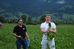 Zuckerrüben: Setzen rentiert nur für den Bio-Anbau Ein Nachteil des Setzens ist, dass die Rübe keine Pfahlwurzel bildet, was den Ertrag schmälert, erklärt Luzi Schneider (rechts). An seiner Seite Rafael Seeh von der Schweizer Zucker AG. (Bilder Stefanie Giger)