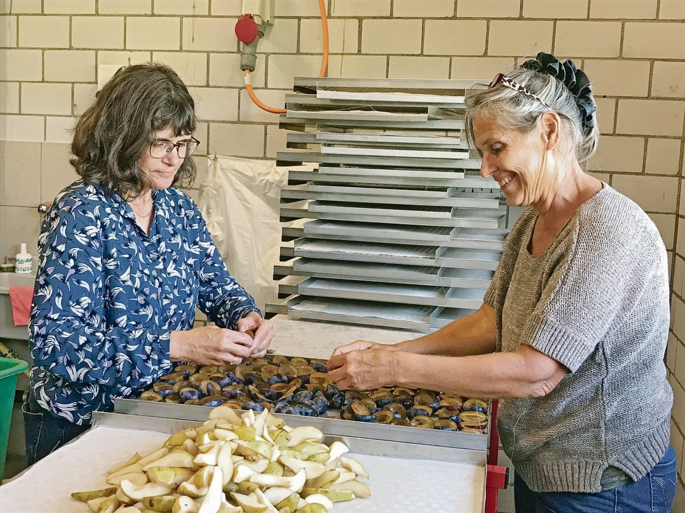 Während der Erntesaison läuft der Dörrbetrieb auf Hochtouren: Karin William (links) und Gaby Michel verteilen die Früchte auf die Bleche.(Bilder Alexandra Stückelberger)