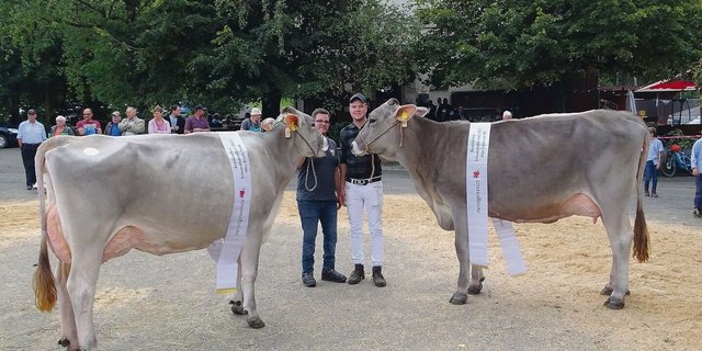Sie sind die Siegerinnen bei den Braunen: Miss Brown Swiss Bachmanns Blooming Berga (links) sowie Miss Schöneuter Bachmanns Superstar Sonbil.