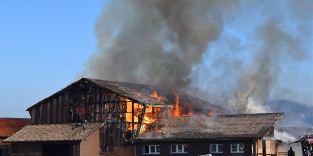 Beim Brand in Stein (AR) wurde niemand verletzt. (Bilder Kantonspolizei Appenzell Ausserrhoden)