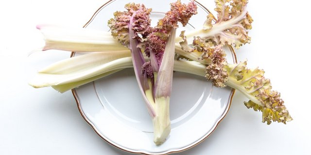 Meerkohl ist vielseitig nutzbar und pflegeleicht (Foto: Eveline Dudda)