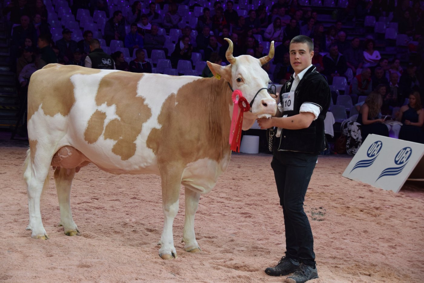 Fabbio Azalea bei ihrem grossen Sieg an der Swiss Expo von Mitte Januar. (Bild Peter Fankhauser)