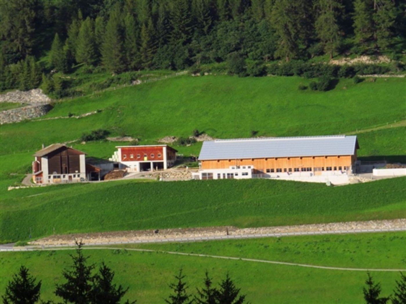 Die Stiftung Landschaftsschutz sieht das Verbandsbeschwerderecht als ein gutes Mass für den Druck, der hierzulande auf den Landschaften laste. (Symbolbild Vrena Crameri)