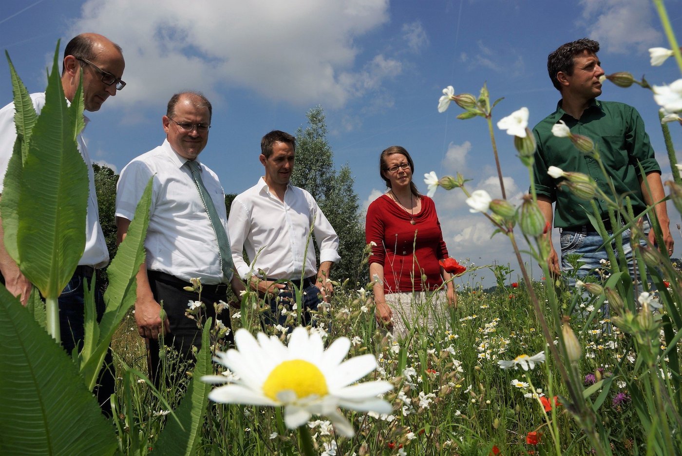 "Den Bienen gehts schlecht", stellte Bea Vonlanthen von Agrofutura (2. v. l.) fest. Hier auf Entdeckungstour in der Buntbrache mit Simon Grossniklaus, Landwirtschaft Aargau, Bienenzüchterpräsident Andreas König, Ralf Bucher, BVA und Landwirt Samuel Imboden (v. l. n. r.). (Bild Ruth Aerni)
