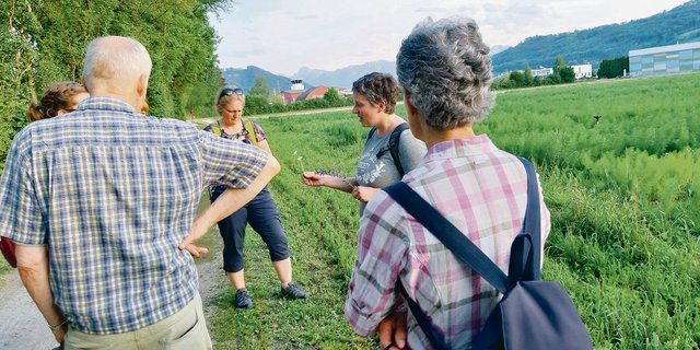 Wer Heilpflanzen finden will, der muss nicht einmal weit laufen. Direkt neben dem Flughafen in Belp findet Sandra Breu-Oberli viele Pflänzchen, welche gegen diverse Wehwehchen helfen. (Bild Daniela Joder)