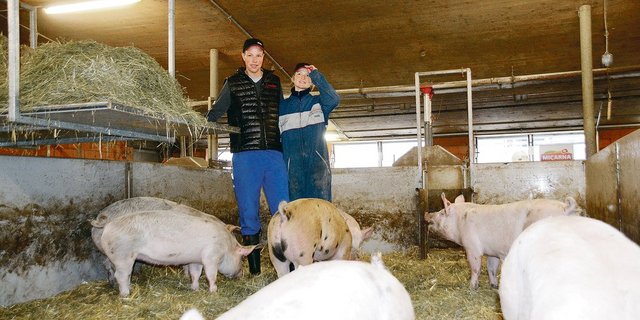 Brigitte und Walter Husy in ihrem Mastschweinestall. Sie setzen auf KB, ES x Premo oder ES x Duroc sorgt für feines Schweinefleisch. Links im Bild die «Seilbahn» für Heu und Stroh.(Bild Armin Emmenegger)