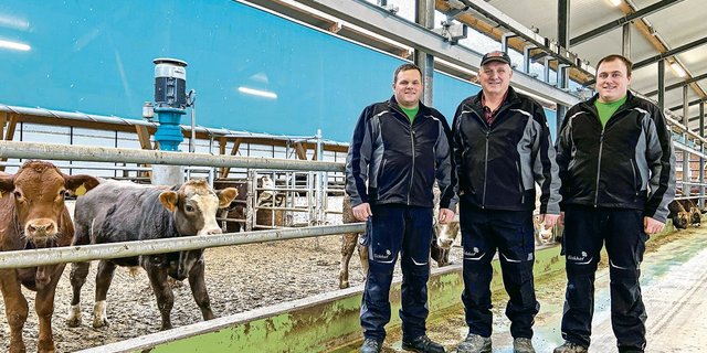 Lohnende Grossinvestition: Christoph, Urs und Andreas Meier (v.l.) in ihrem neuen BTS-/RAUS-Munimaststall. Die Fütterungsautomaten nehmen dem eingespielten Trio viel Arbeit ab. (Bild Adrian Krebs)