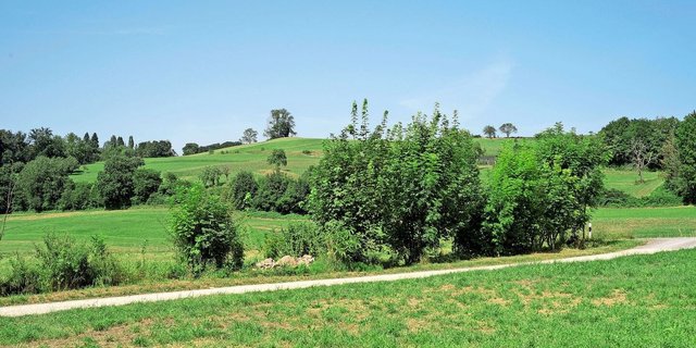 Entlang des neuen Lehrpfades wird auch über die vielfältigen Lebensräume informiert. 