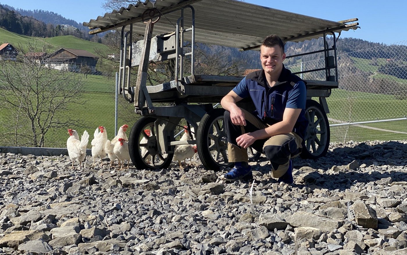 Hoch über Malters haben Markus Fischer und seine Legehennen einen wunderbaren Blick ins Grüne (Bilder Jeanne Woodtli)