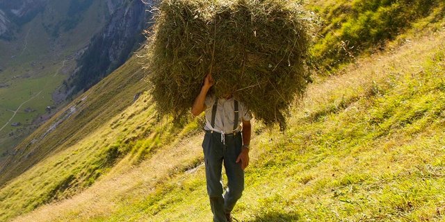 «Alpzyzt – Keine Ferien, aber schöner», Dokumentarfilm von Thomas Rickenmann. Bild: SRF