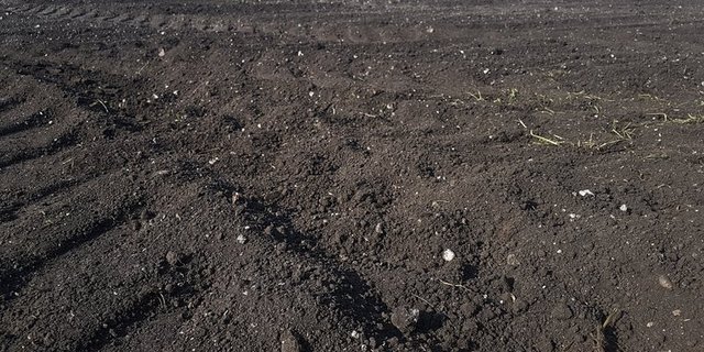 Boden ist nicht nur für die Landwirtschaft ein wichtiger Faktor. (Bild lid/ji)