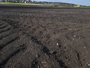 Der Boden verschwindet Boden ist nicht nur für die Landwirtschaft ein wichtiger Faktor. (Bild lid/ji)