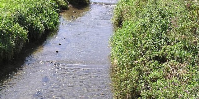 Entlang von Bächen und Flüssen im Landwirtschaftsgebiet sind Gewässerräume auszuscheiden. Wie breit diese sein sollen, ist politisch noch immer umstritten. 
