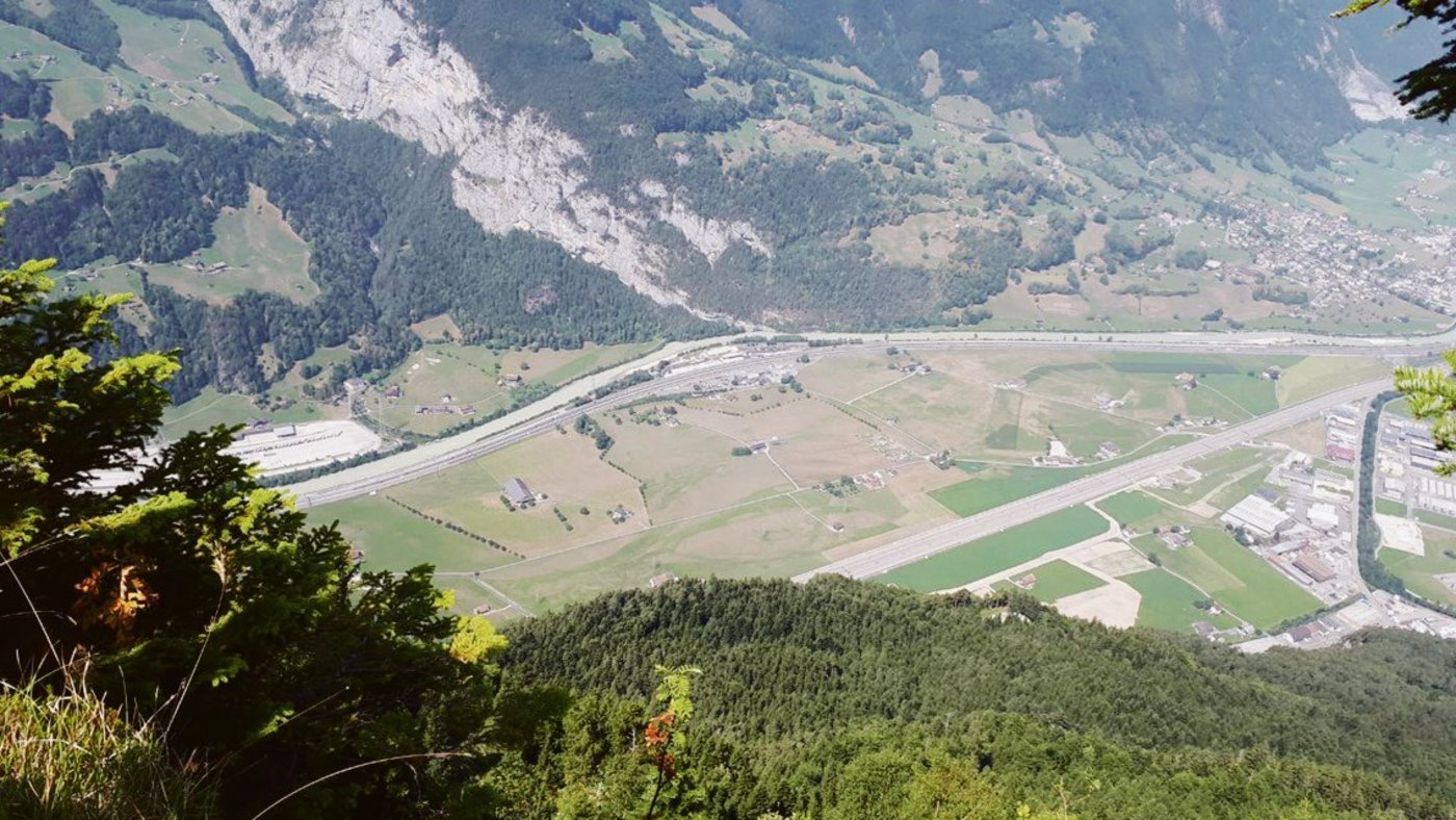 Unteres Urner Reusstal im Sommer 2018: Das Kulturland ist wegen der extremen Trockenheit weitgehend braun. (Bild zVg)