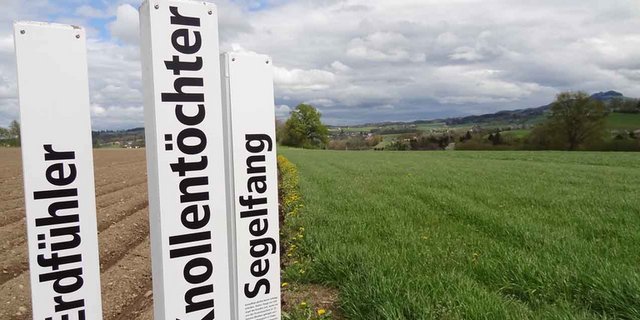 Lockpfosten sollen neugierig machen auf die Landwirtschaft - und darüber informieren. (Bild lid)