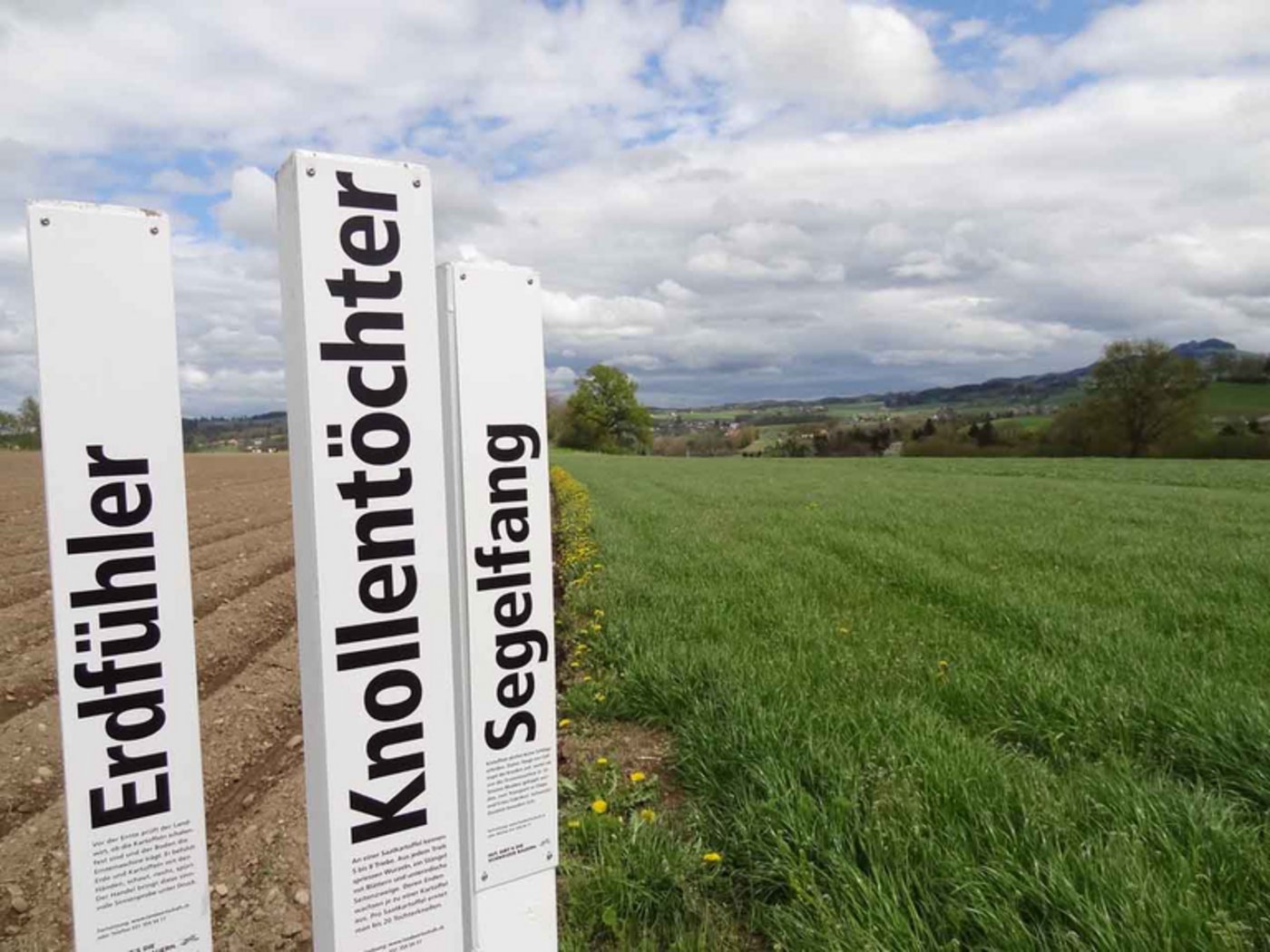 Lockpfosten sollen neugierig machen auf die Landwirtschaft - und darüber informieren. (Bild lid)